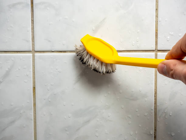 Best Residential Mold Remediation in Oxford, IN