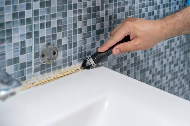 Best Mold Remediation for Specific Building Types in Oxford, IN